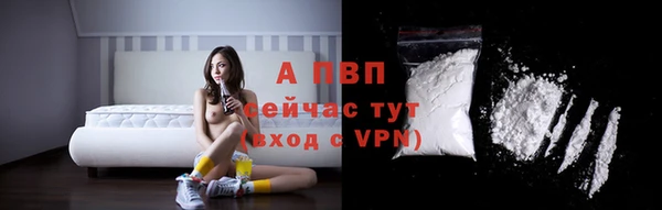шишки Богородск