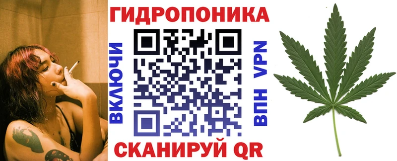 Бошки марихуана план  Шахунья 